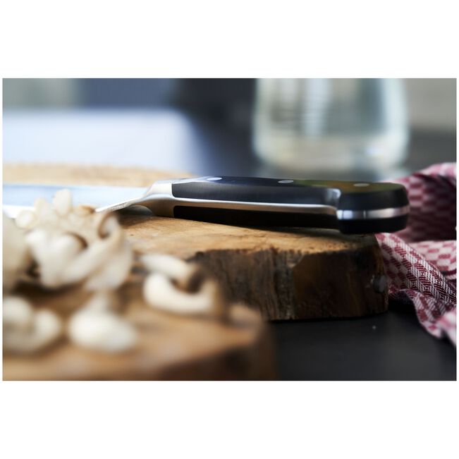 Satara ZWILLING Pro