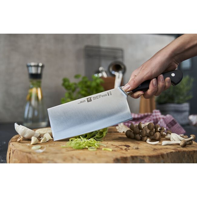Satara ZWILLING Pro